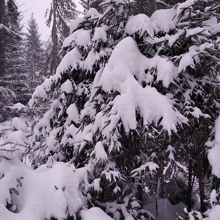 Катерина Daire Rozhanka Nizhnyaya Dış mekan fotoğraf