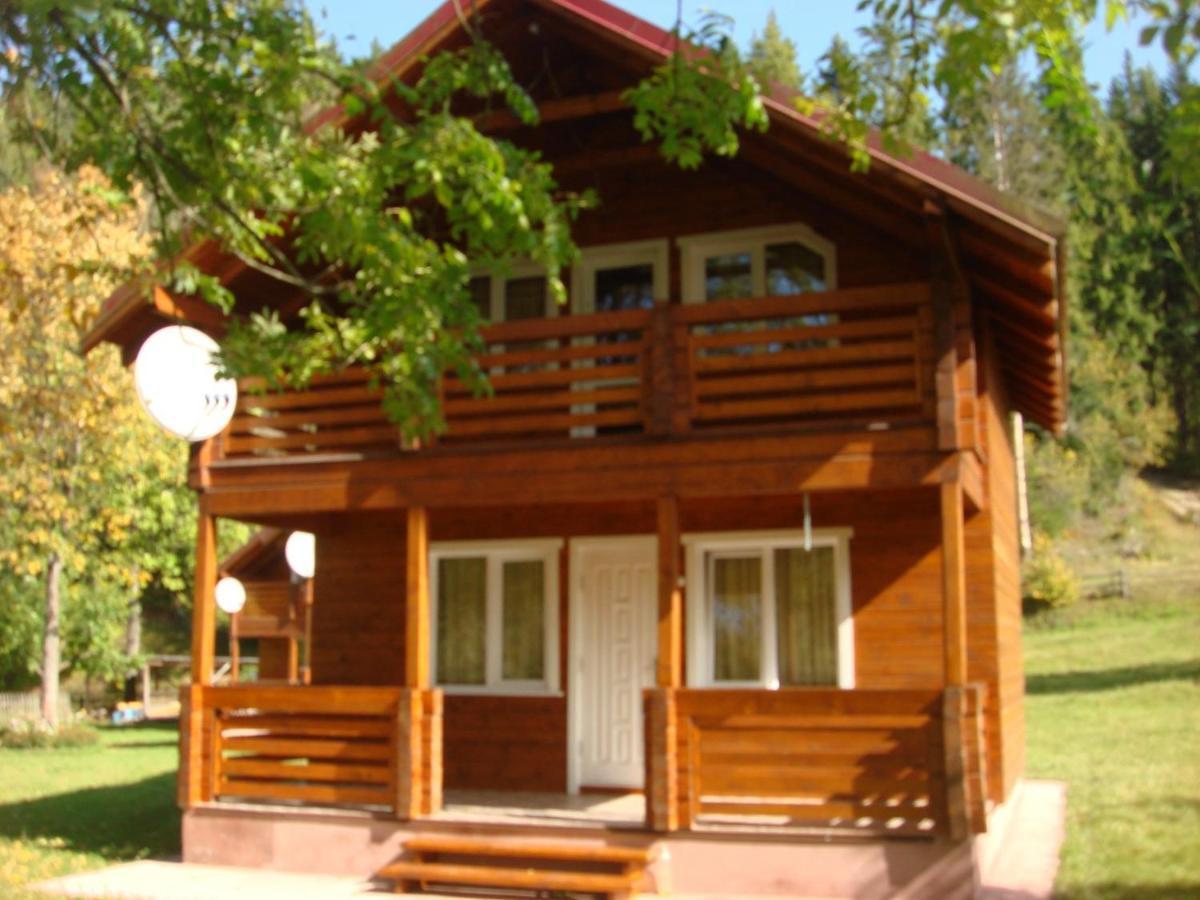 Apartment катерина Nizhnyaya Rozhanka